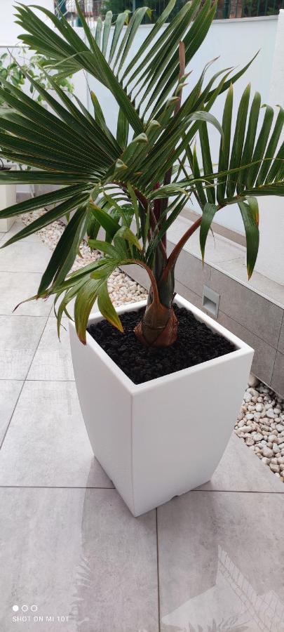 Apartament Luxury Townhouse Costa Adeje  Zewnętrze zdjęcie