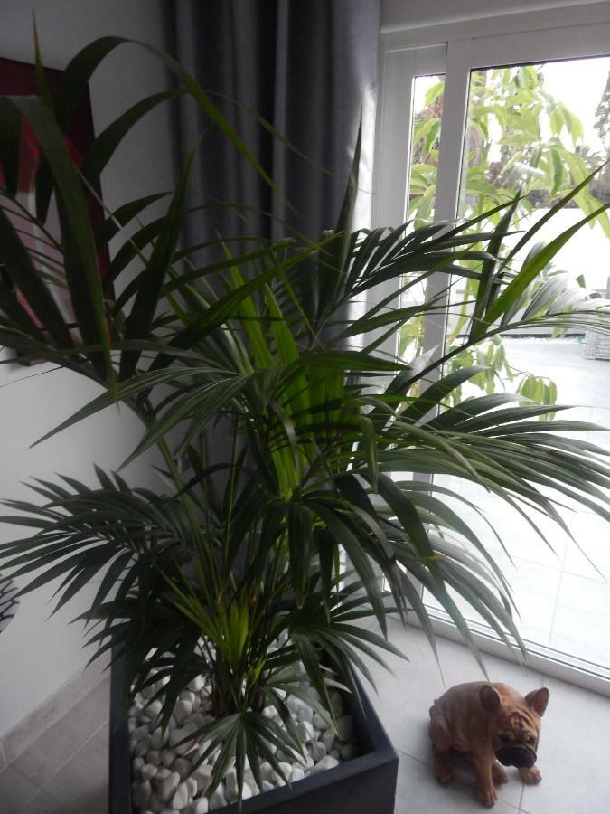 Apartament Luxury Townhouse Costa Adeje  Zewnętrze zdjęcie